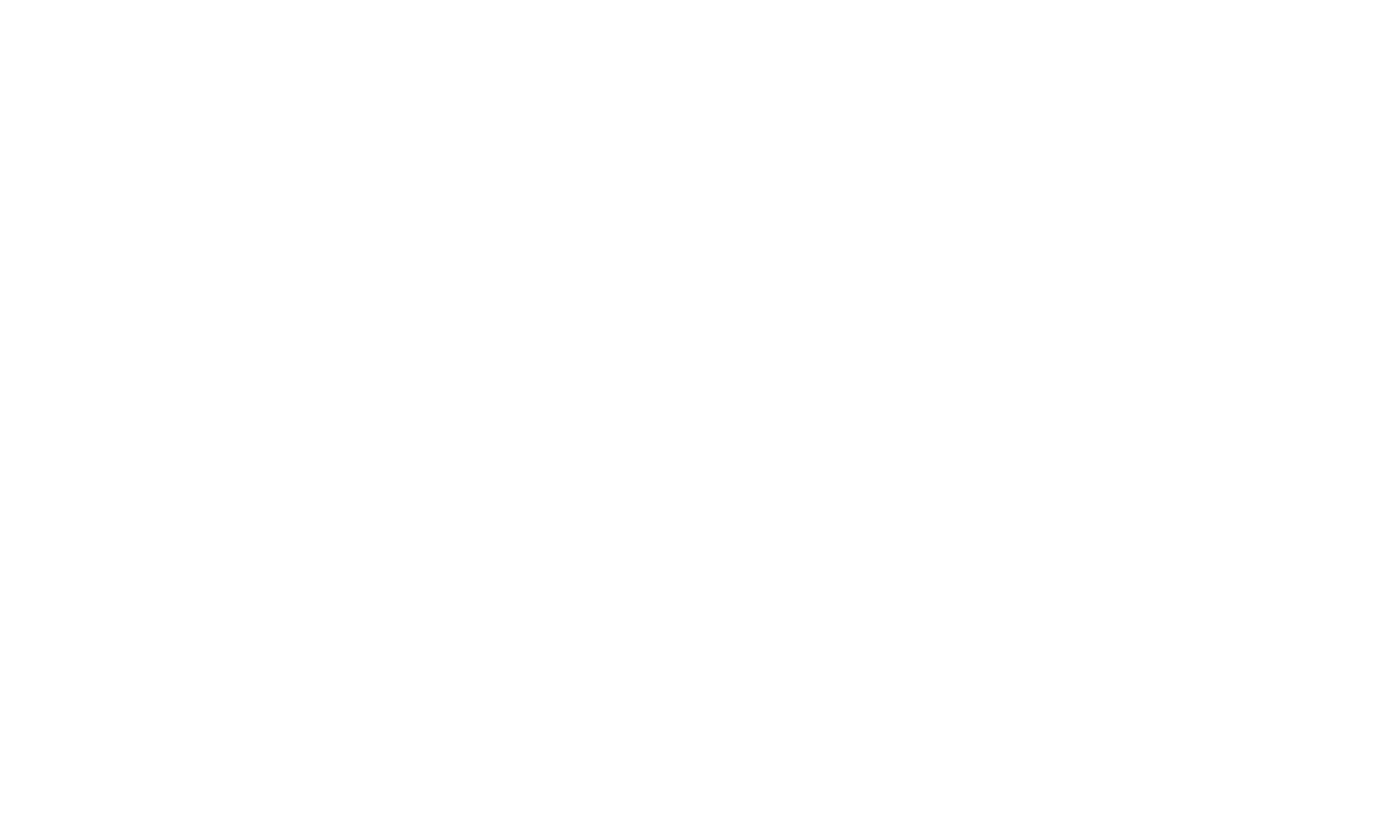 Logo_Vamp_professional Beauty