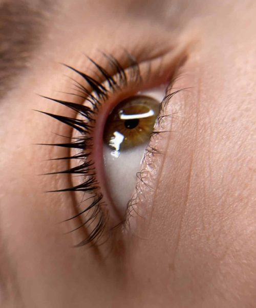 WhatsApp Image 2025-04-16 at 14.29.24